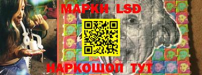 a pvp Славгород