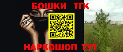 a pvp Славгород
