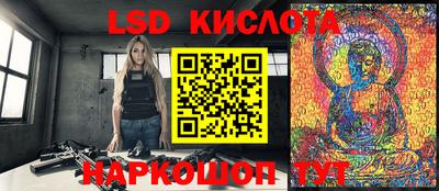 a pvp Славгород