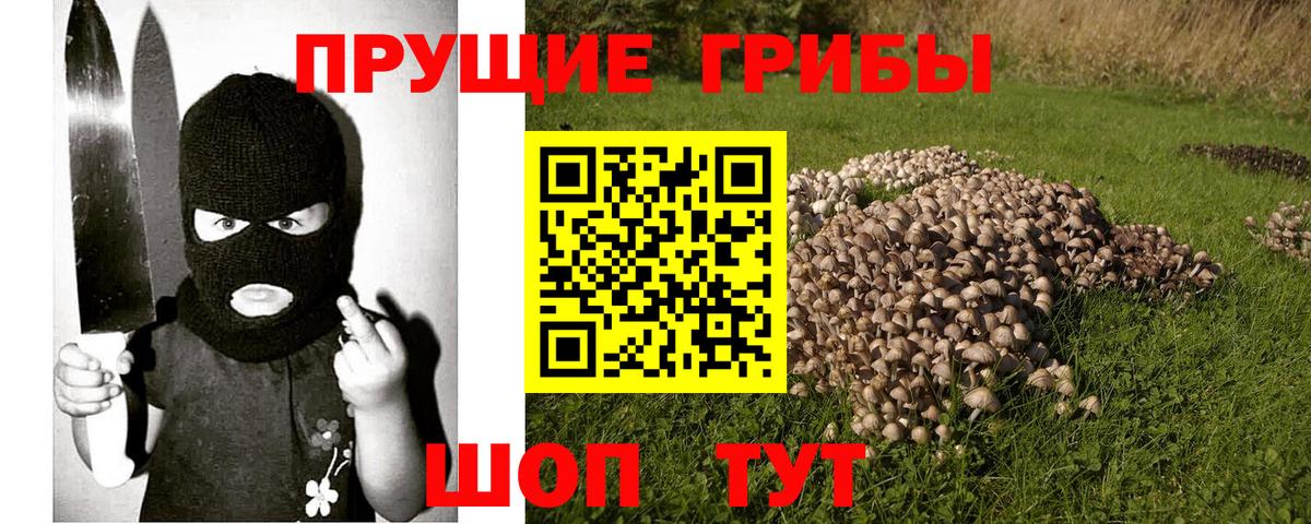 Бор  Псилоцибиновые грибы мицелий  Псилоцибиновые грибы Magic Shrooms  Вход с VPN 