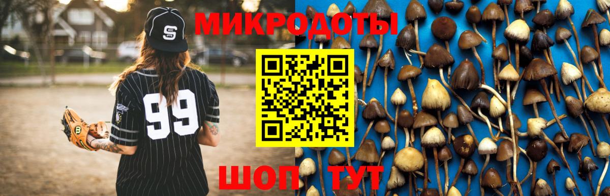 Галлюциногенные грибы GOLDEN TEACHER Бор